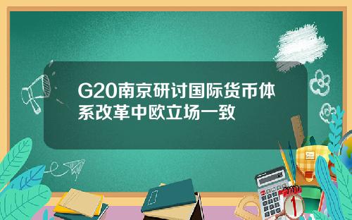 G20南京研讨国际货币体系改革中欧立场一致