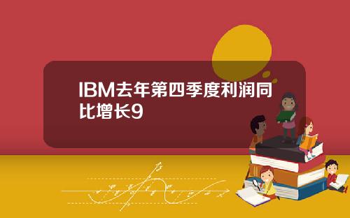 IBM去年第四季度利润同比增长9