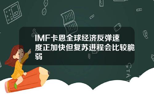 IMF卡恩全球经济反弹速度正加快但复苏进程会比较脆弱