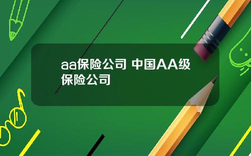 aa保险公司 中国AA级保险公司