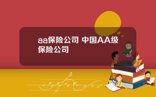 aa保险公司 中国AA级保险公司