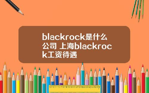 blackrock是什么公司 上海blackrock工资待遇