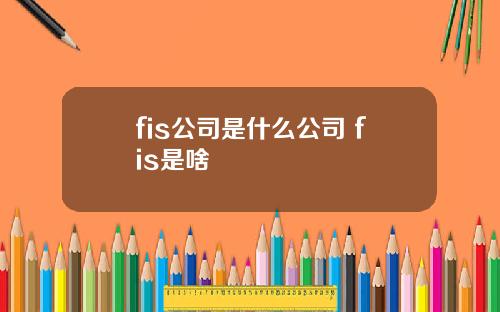 fis公司是什么公司 fis是啥