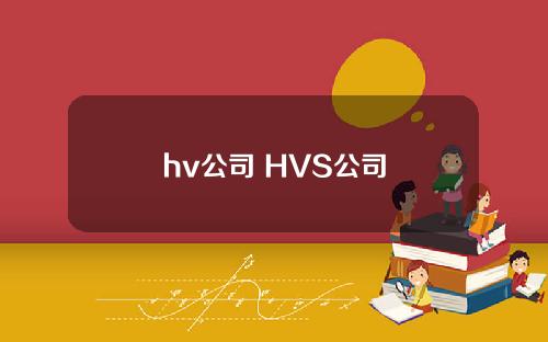 hv公司 HVS公司