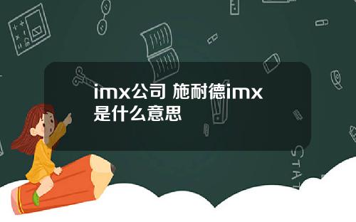 imx公司 施耐德imx是什么意思