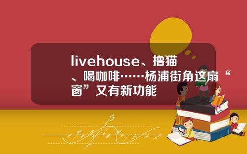 livehouse、撸猫、喝咖啡……杨浦街角这扇“窗”又有新功能
