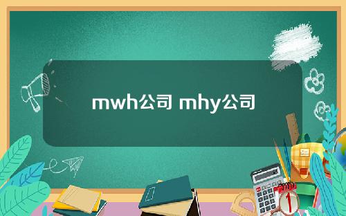 mwh公司 mhy公司