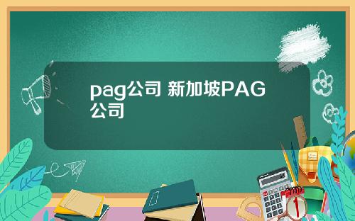 pag公司 新加坡PAG公司