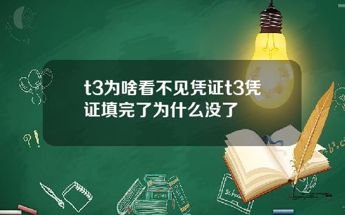 t3为啥看不见凭证t3凭证填完了为什么没了
