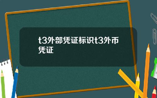 t3外部凭证标识t3外币凭证