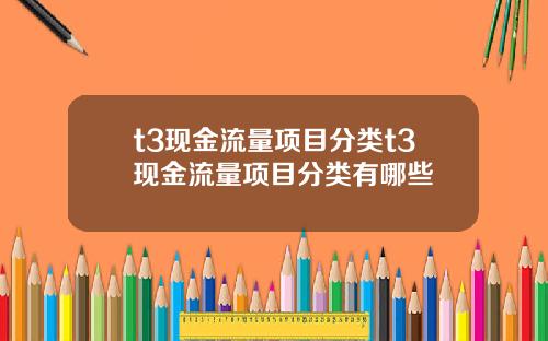 t3现金流量项目分类t3现金流量项目分类有哪些