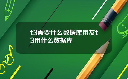 t3需要什么数据库用友t3用什么数据库