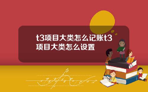 t3项目大类怎么记账t3项目大类怎么设置