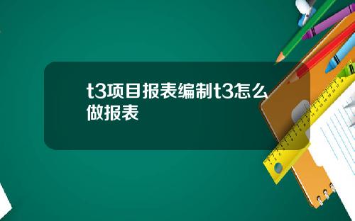 t3项目报表编制t3怎么做报表