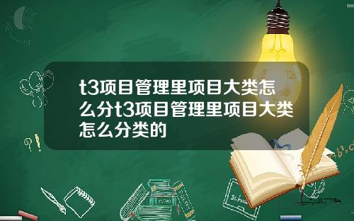 t3项目管理里项目大类怎么分t3项目管理里项目大类怎么分类的