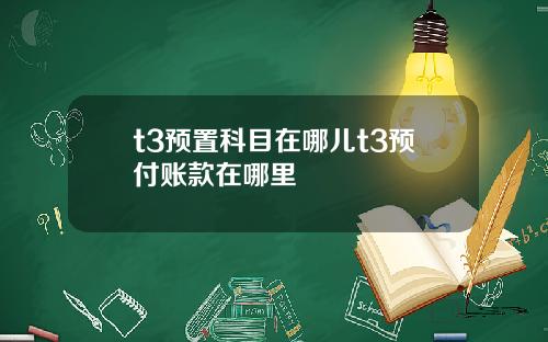t3预置科目在哪儿t3预付账款在哪里