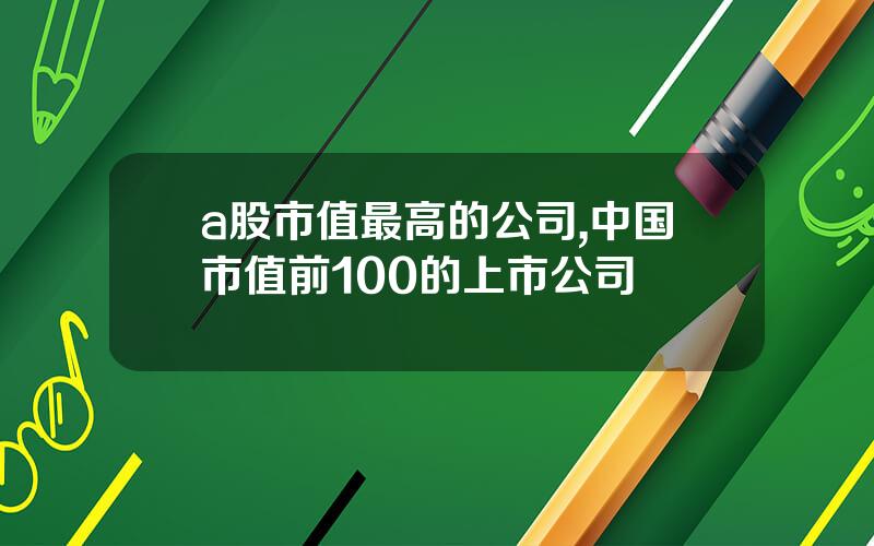 a股市值最高的公司,中国市值前100的上市公司