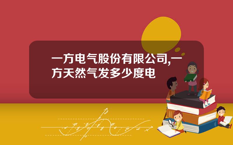 一方电气股份有限公司,一方天然气发多少度电