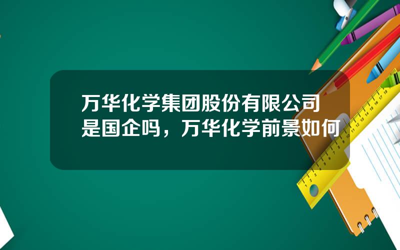 万华化学集团股份有限公司是国企吗，万华化学前景如何