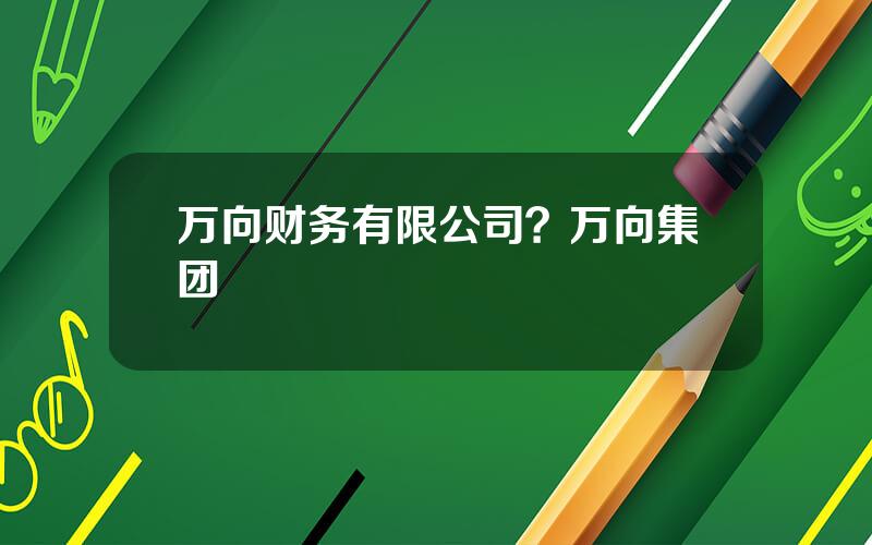 万向财务有限公司？万向集团