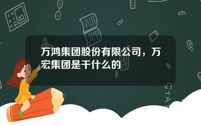 万鸿集团股份有限公司，万宏集团是干什么的