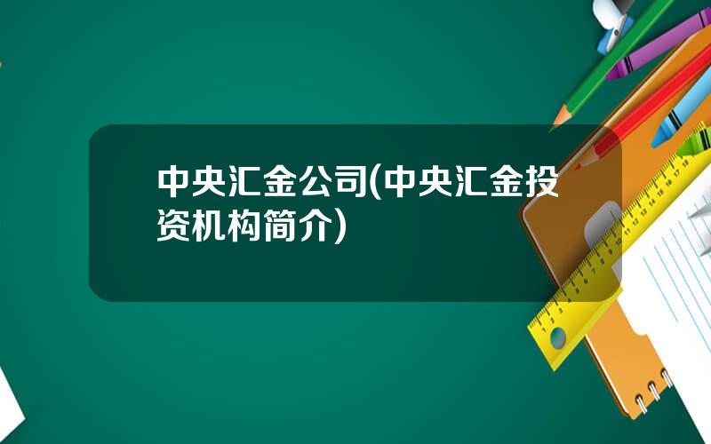 中央汇金公司(中央汇金投资机构简介)