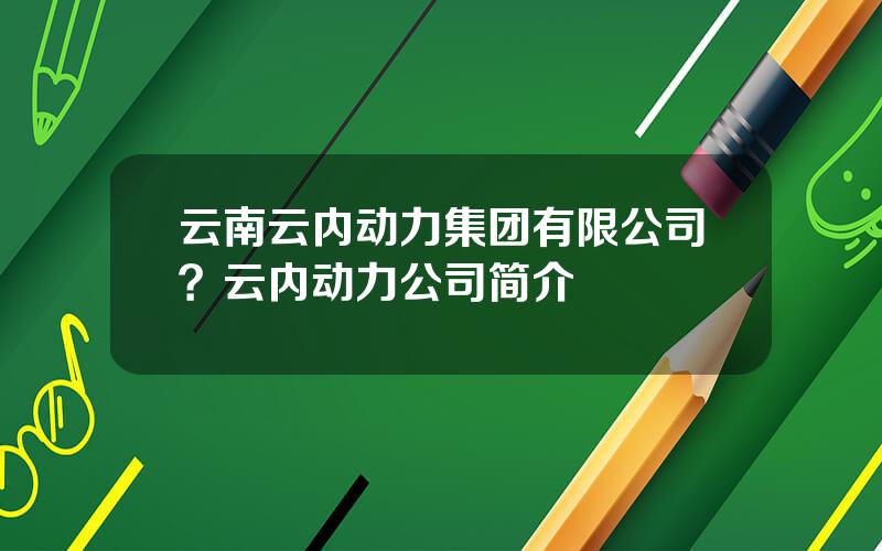 云南云内动力集团有限公司？云内动力公司简介