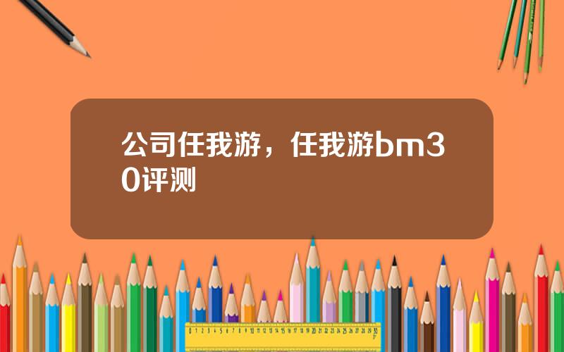 公司任我游，任我游bm30评测
