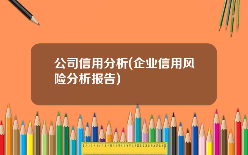 公司信用分析(企业信用风险分析报告)