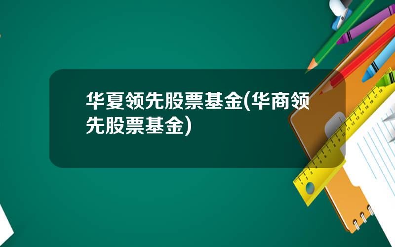 华夏领先股票基金(华商领先股票基金)