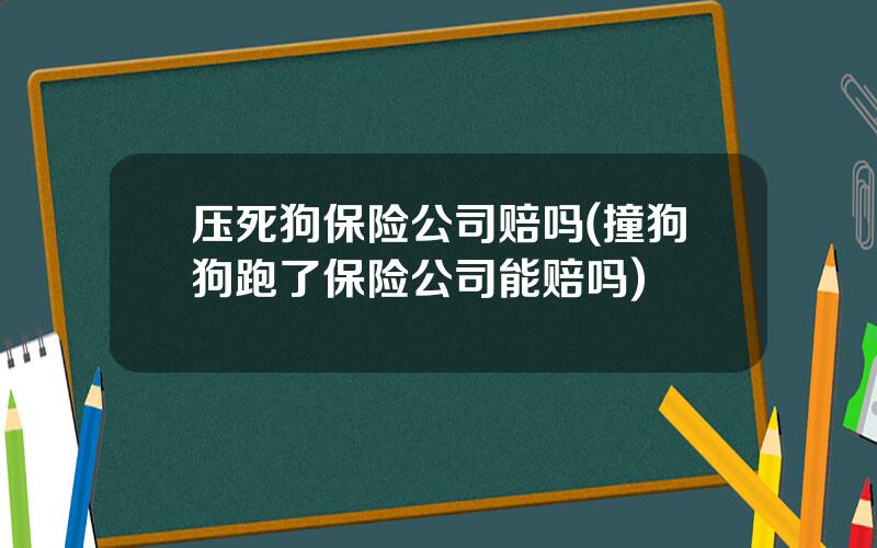 压死狗保险公司赔吗(撞狗狗跑了保险公司能赔吗)