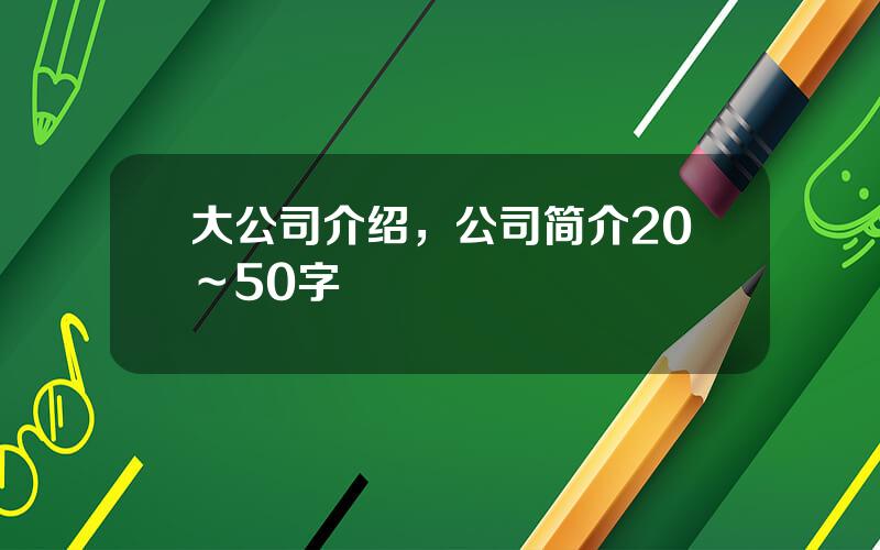 大公司介绍，公司简介20～50字
