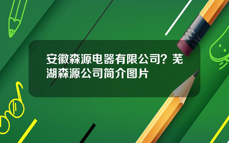 安徽森源电器有限公司？芜湖森源公司简介图片
