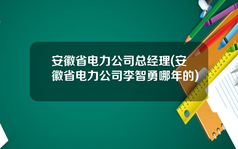 安徽省电力公司总经理(安徽省电力公司李智勇哪年的)