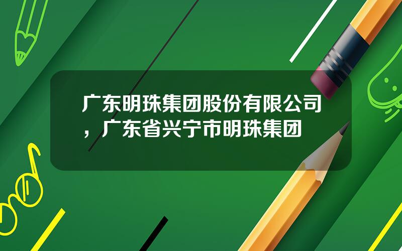 广东明珠集团股份有限公司，广东省兴宁市明珠集团