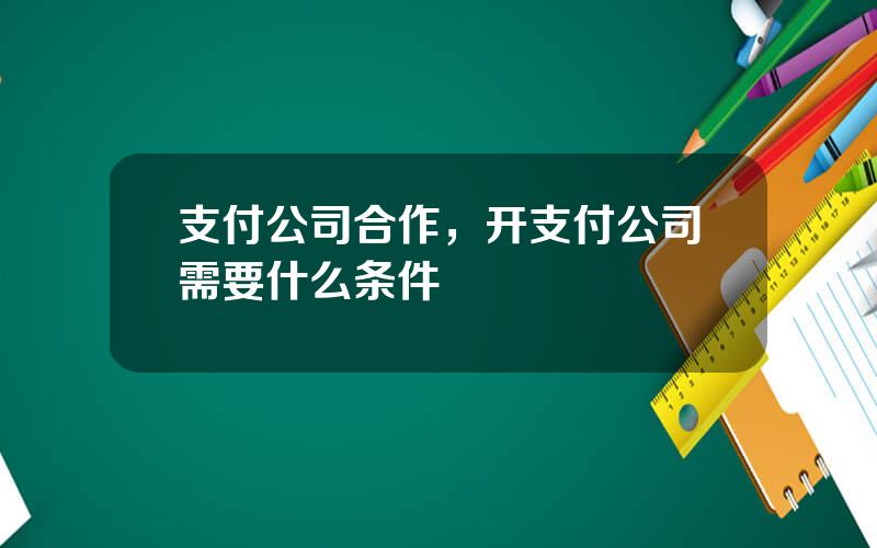 支付公司合作，开支付公司需要什么条件