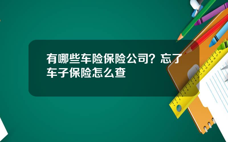 有哪些车险保险公司？忘了车子保险怎么查