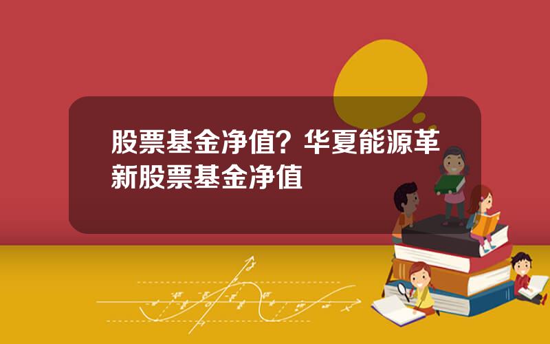 股票基金净值？华夏能源革新股票基金净值