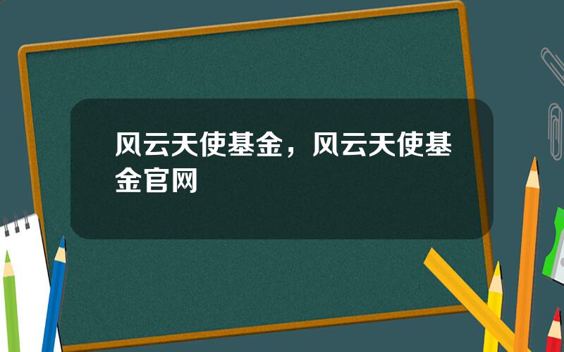 风云天使基金，风云天使基金官网